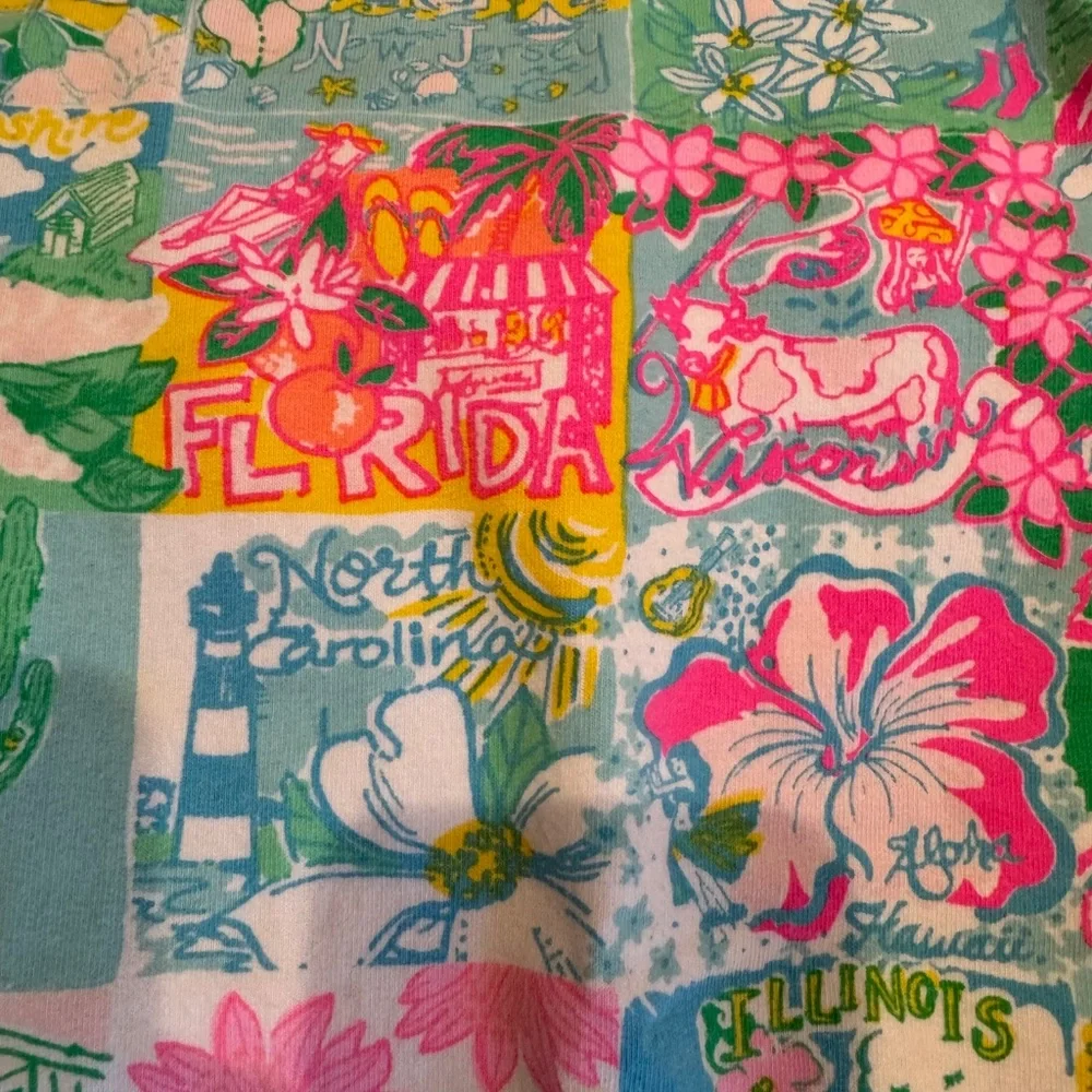 Lilly Pulitzer Girls Brissa Dress in Multi Lilly State of Mind Size L (8-10) - Picture 4 of 5